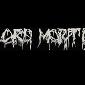 lord mortis