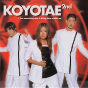 Koyote: Broken Heart