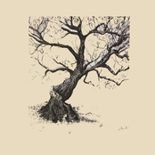 i want to walk as a child of the light