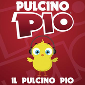 Il Pulcino Pio
