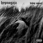 Hypnogaja - They Don't Care