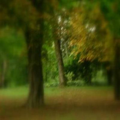 Symphoniquement votre