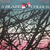 A Blaze Colour