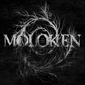 Followers by Moloken