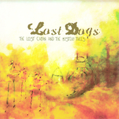 Hardening My Heart by Lost Dogs