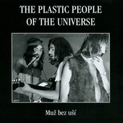 Never Seek To Tell Thy Love by The Plastic People Of The Universe