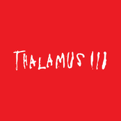 Thalamus III