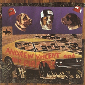 Sleeping Bag by Andrew Vincent And The Pirates