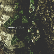 Live @ La Vallée Électrique 2019