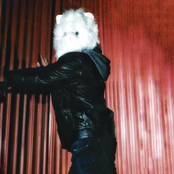 Hairball Regurgitation - Single