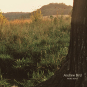 Unfolding Fans by Andrew Bird