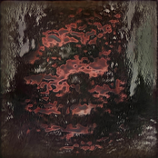 Shuriken - Single