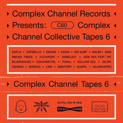 Complex Channel Collective Tapes Vol. 6