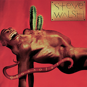 Heart Attack by Steve Walsh