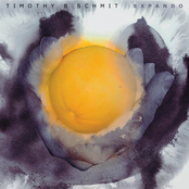 Parachute by Timothy B. Schmit