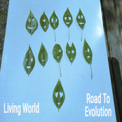 Road to Evolution