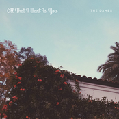 The Dames: All That I Want Is You - Single