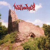 From Behind The Light