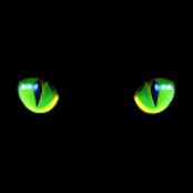 VGM Acapella: Volume XIII