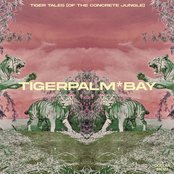 Tiger Tales (of the Concrete Jungle)