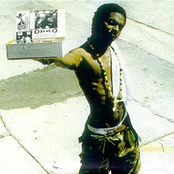 Crop Formations Re: Formations