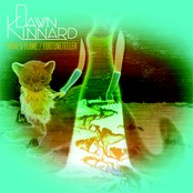 Dawn Kinnard - The Courtesy Fall