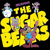 the sugar bears