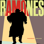 She's A Sensation by Ramones