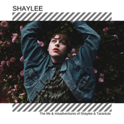 The Life & Misadventures of Shaylee & Tarantula