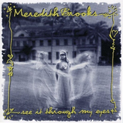 See It Through My Eyes by Meredith Brooks