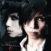 Jigsaw by Acid Black Cherry