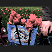 this is what was, earlier work