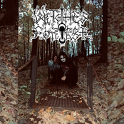 The Lost Hymns of Witches Forest