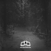 In Darkness