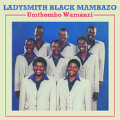 Siyawadinga Amandla by Ladysmith Black Mambazo