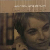 A Little Bird Told Me