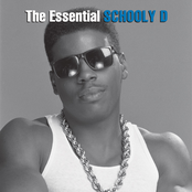 Housing The Joint by Schoolly D