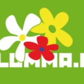 blomma