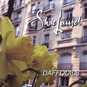 Daffodils