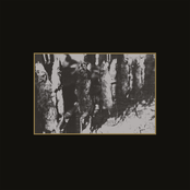 Ancient Meat Revived - A Tribute To Cold Meat Industry