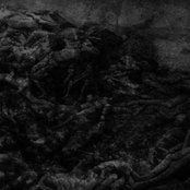 Split with Dark Circles