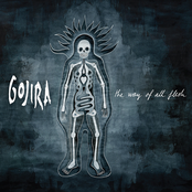 Vacuity by Gojira