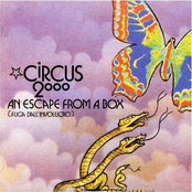 An Escape from a Box