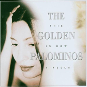 The Wonder by The Golden Palominos