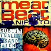 Assassinator by Meat Beat Manifesto