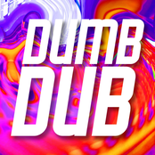 DUMB DUB