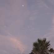 The Night That We Met