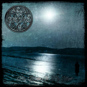 This Winter In My Heart