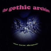 Ever Falls The Twilight by The Gothic Archies