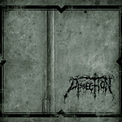 Life For Lie by Dissection